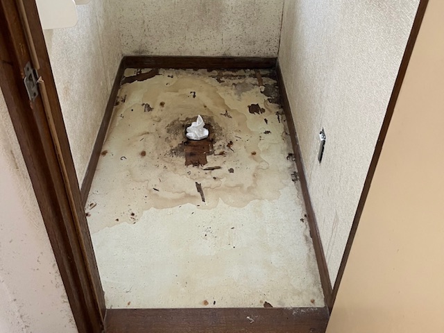 トイレ内装剥がし後.jpeg