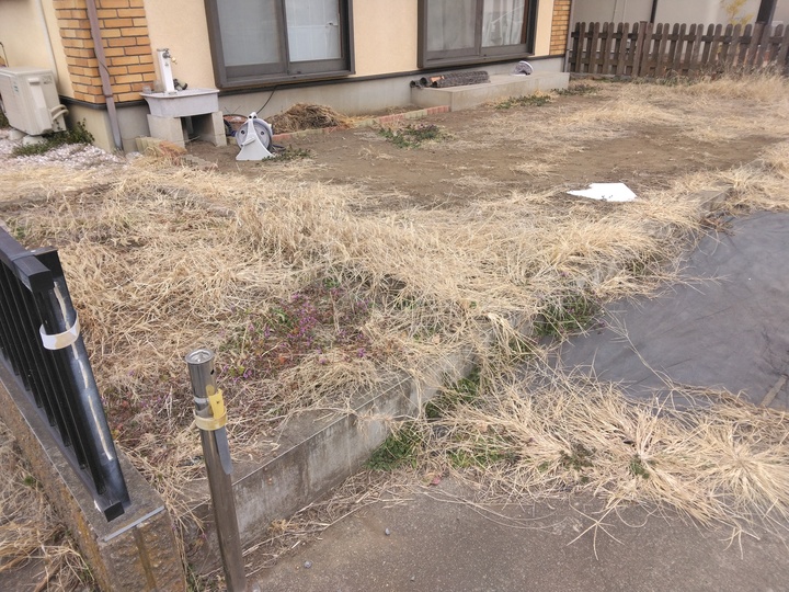IMG_20260207_140218.jpg