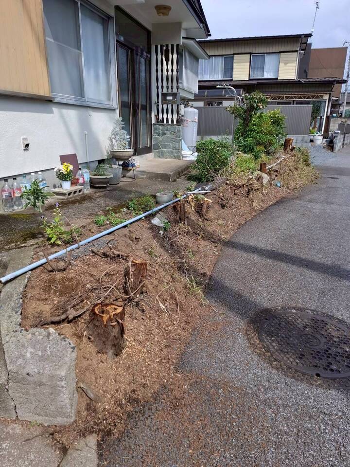 1000014700.jpg