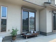 IMG_1887.jpg