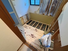 IMG_5483.jpg
