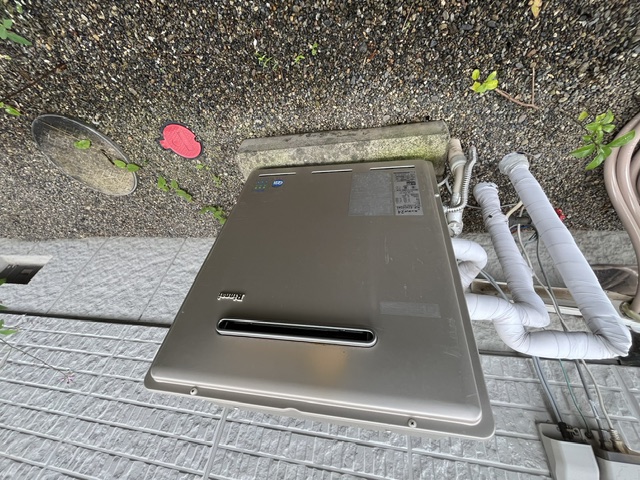 IMG_5900.jpeg